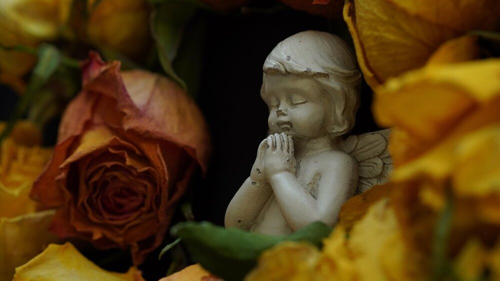 angel-8247278.jpg